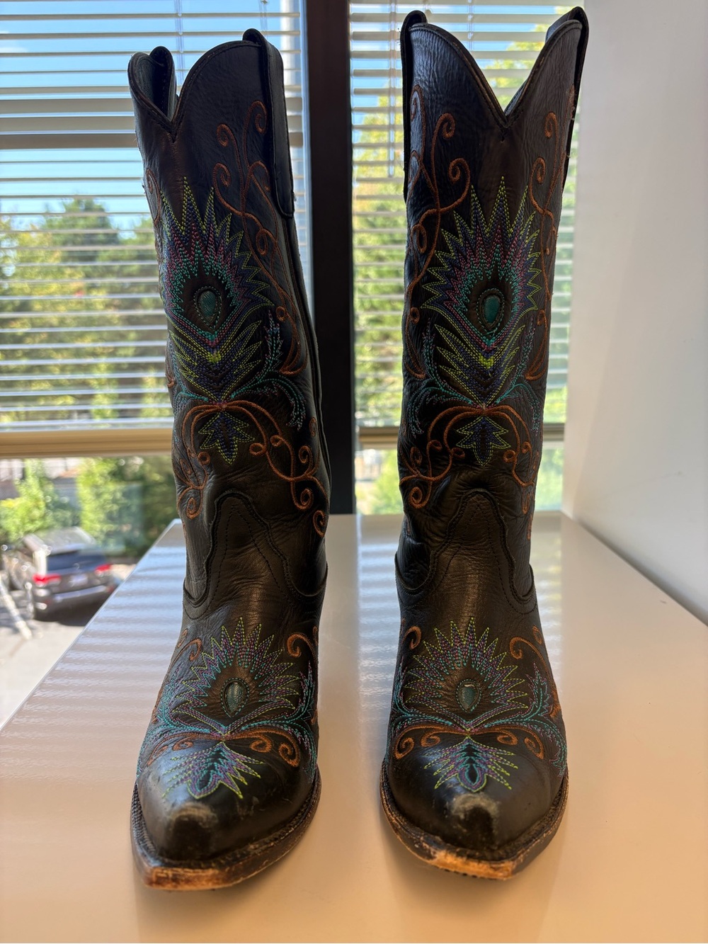 Tony Lama Black Western Boots with Multicolor Peacock Embroidery